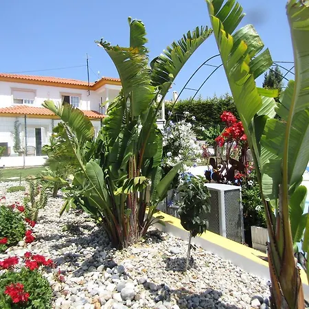 Villa Isabella's World- Casa Talbot